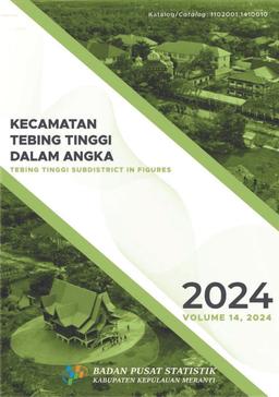 Tebing Tinggi District In Figures 2024