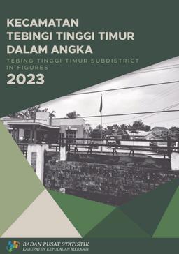 Kecamatan Tebing Tinggi Timur Dalam Angka 2023