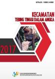 Tebing Tinggi Subdistrict In Figures 2017